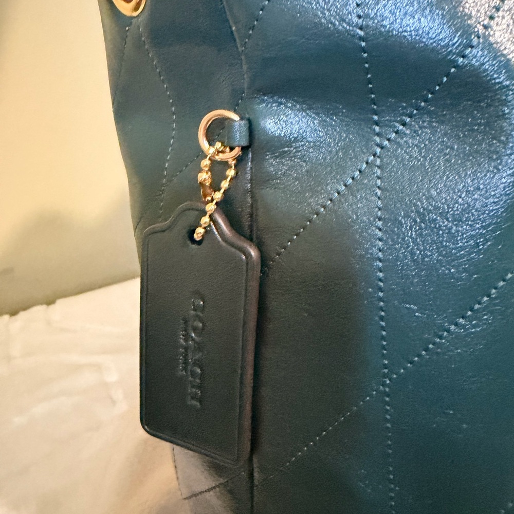 Coach Evelyn Large Shoulder Bag NWT - Picture 6 of 13